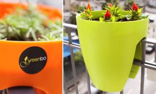 Greenbo design dÃjas műanyag virágcserép
