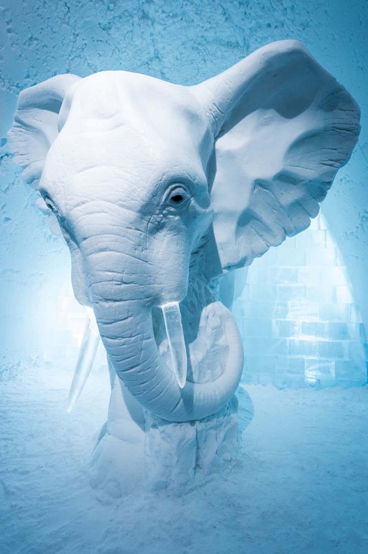 Elefánt szobor jégből