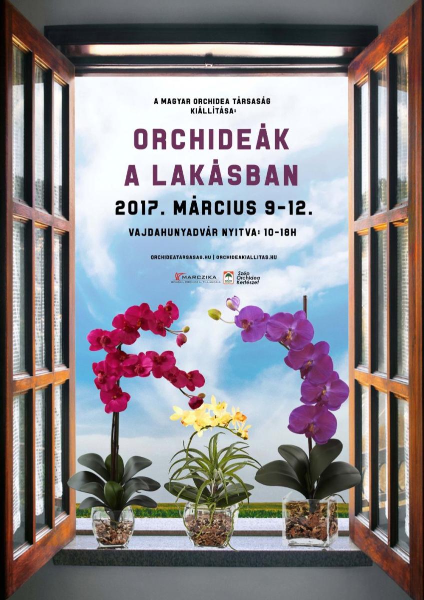 Orhidea kiállítás plakát 2017 tavasz