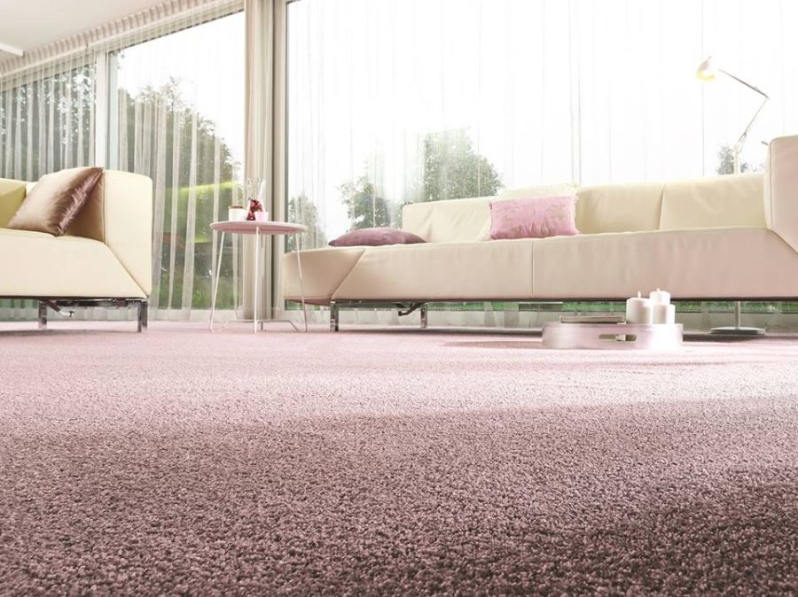 Halvány rózsaszín Leguan padlószőnyeg