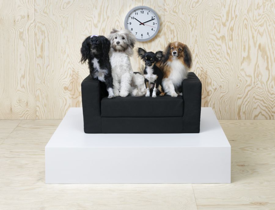 Ikea kanapé kutyáknak
