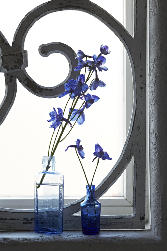 Kék üvegváza és kék virág