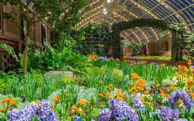 Virtuális séta a világ legzöldebb botanikus kertjében