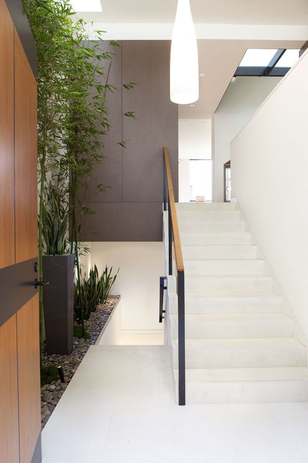 Modern lépcső és beltéri növény