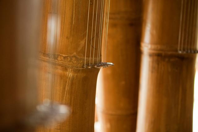 Bambusz hárfa