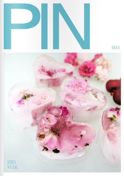 PIN magazin 2013 nyár