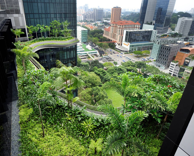 Green building Singapore Parkroyal Hotel