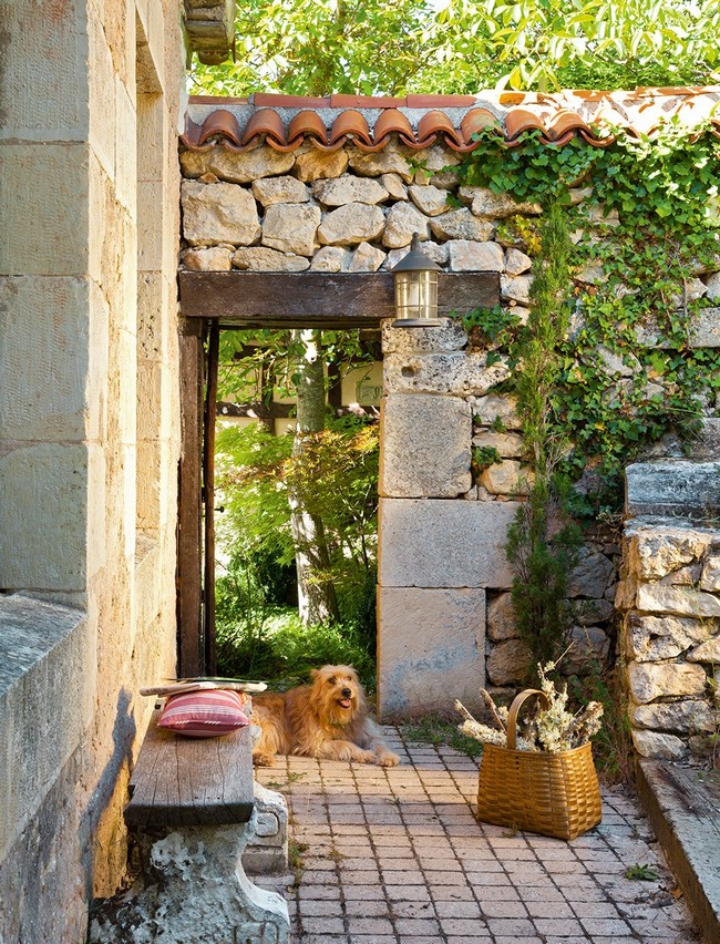 Kerti kőpad és egy kutya