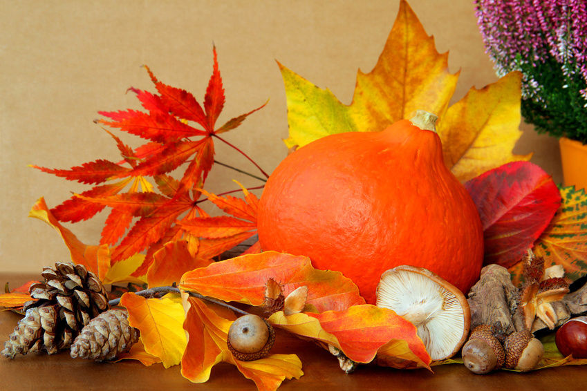 Narancssárga őszi dekoráció ötlet