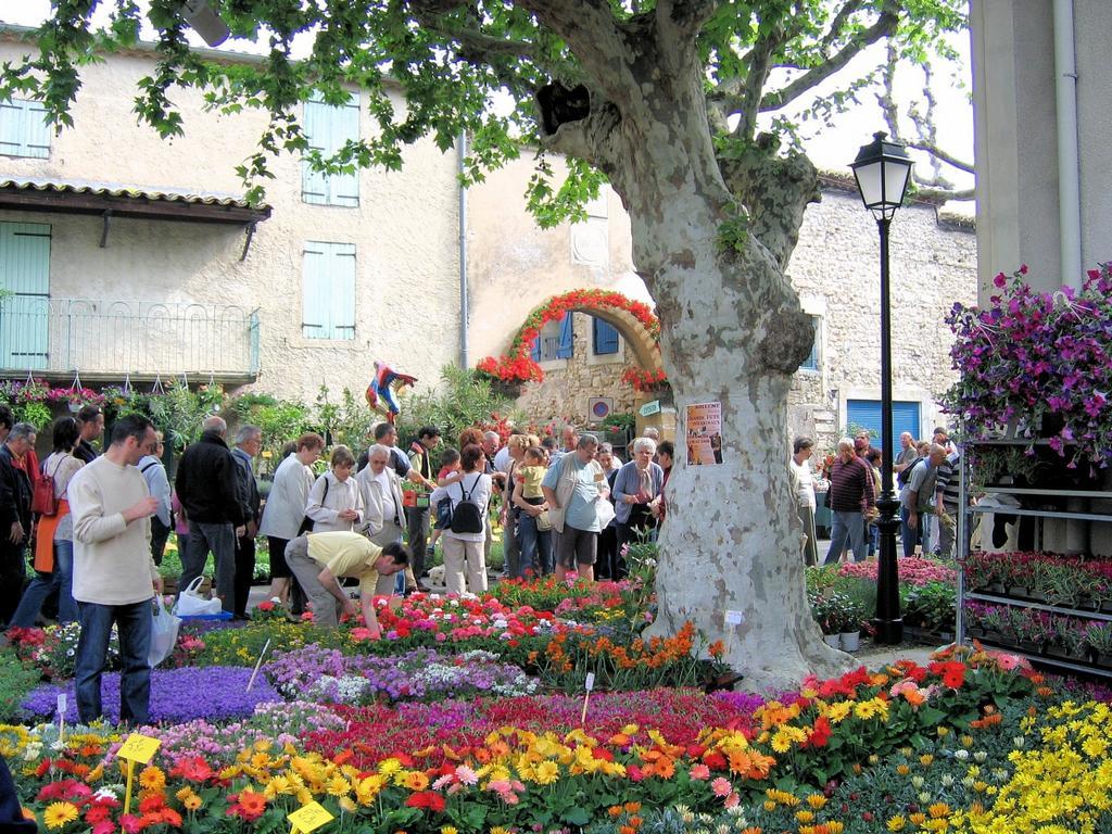 A levendulaillatú Provence
