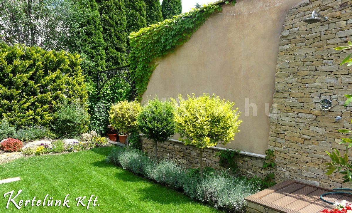 Mediterrán növények a kertben