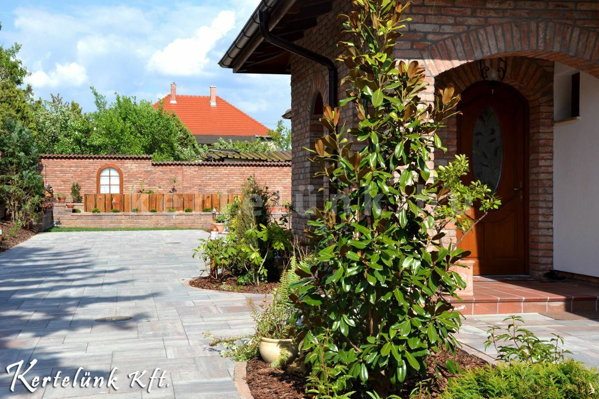 Babérmeggy kerti növény oszlopra futtatva