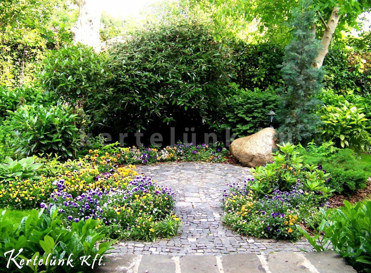 Sűrű zöld növények kertépítéssel