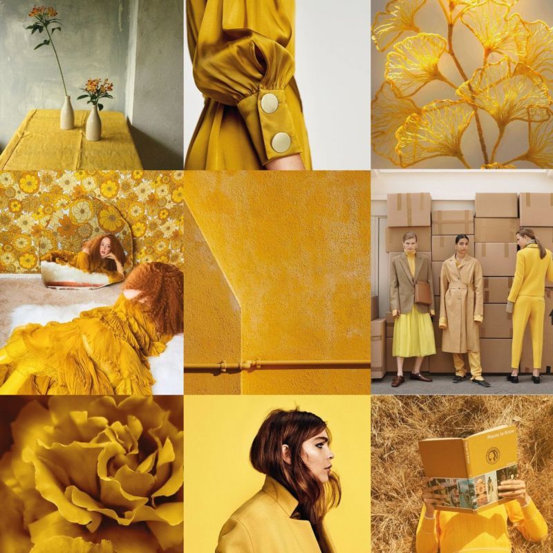 Sárga színkompozíció