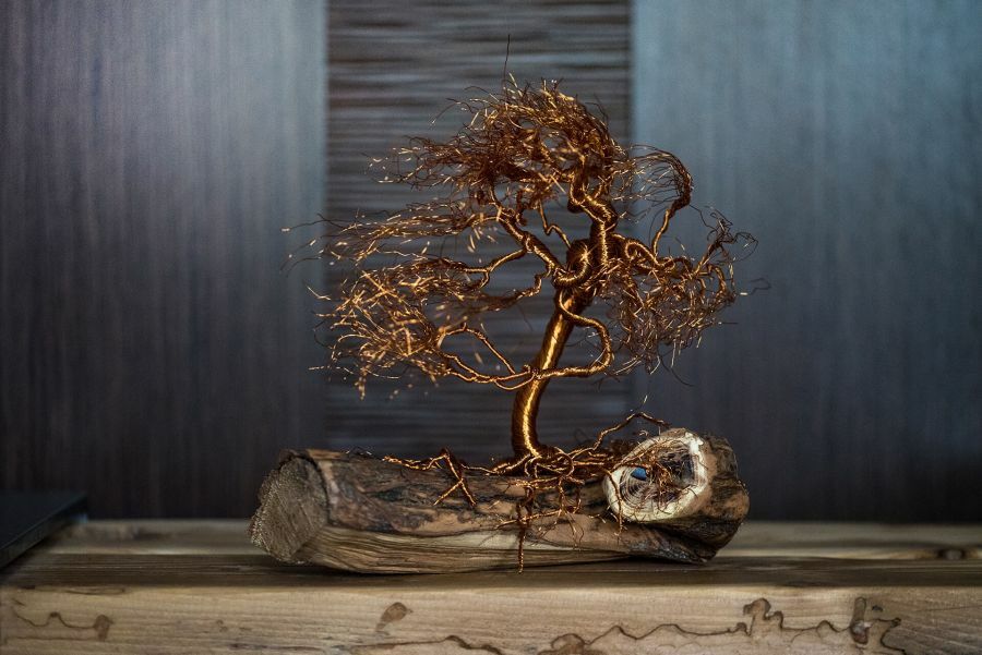 Bonsai drótfa rézből