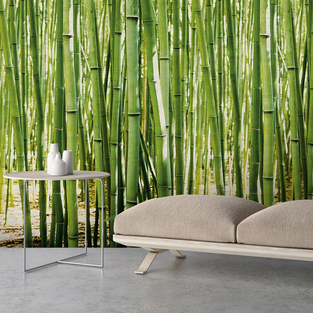 Bambusz mintás tapéta