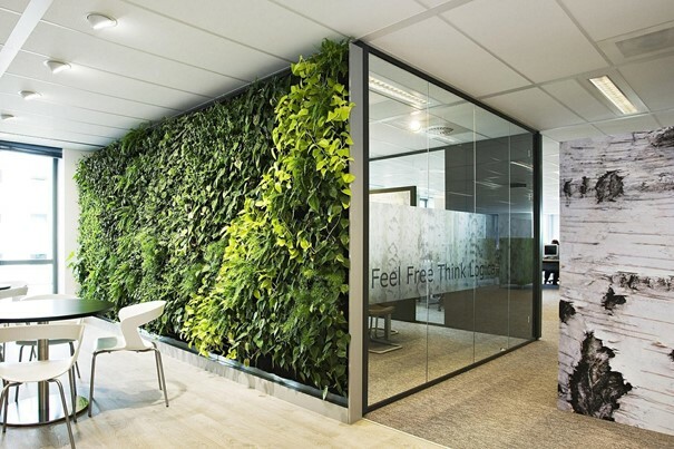 Zöld növényfalak irodában