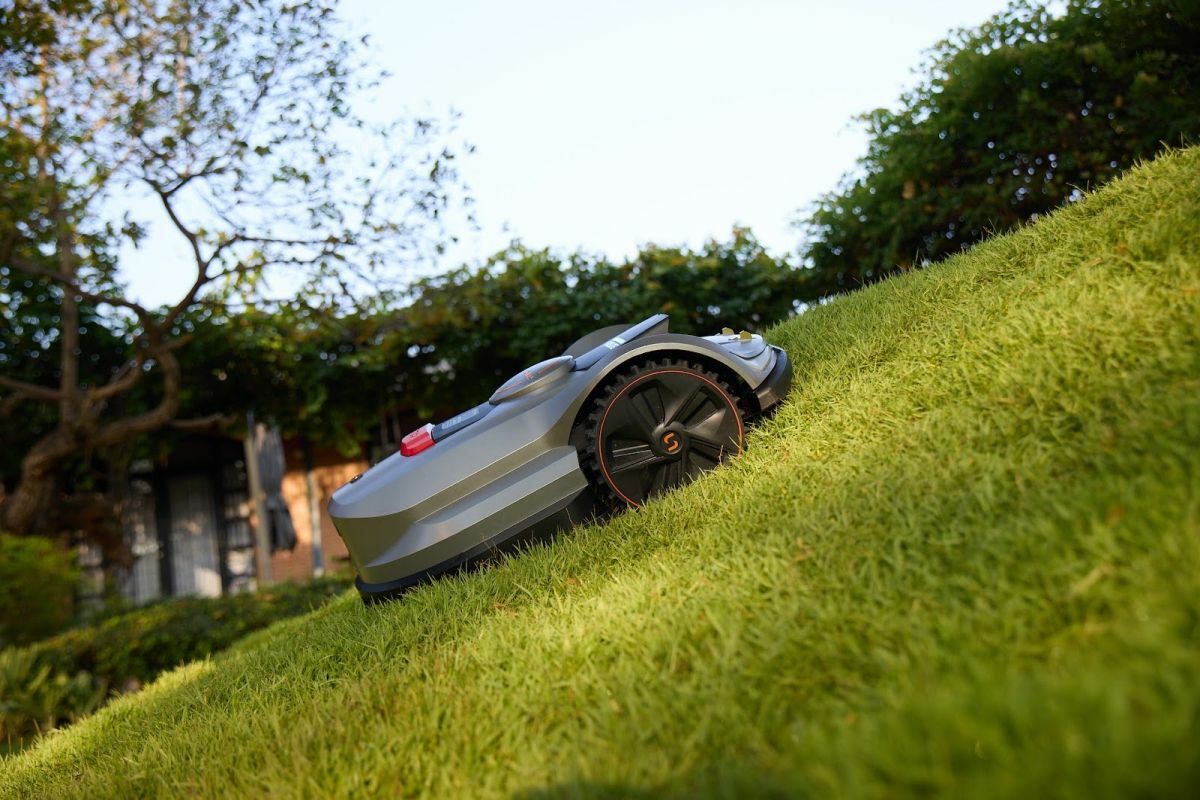 Profi gyepápolás robotfűnyíróval