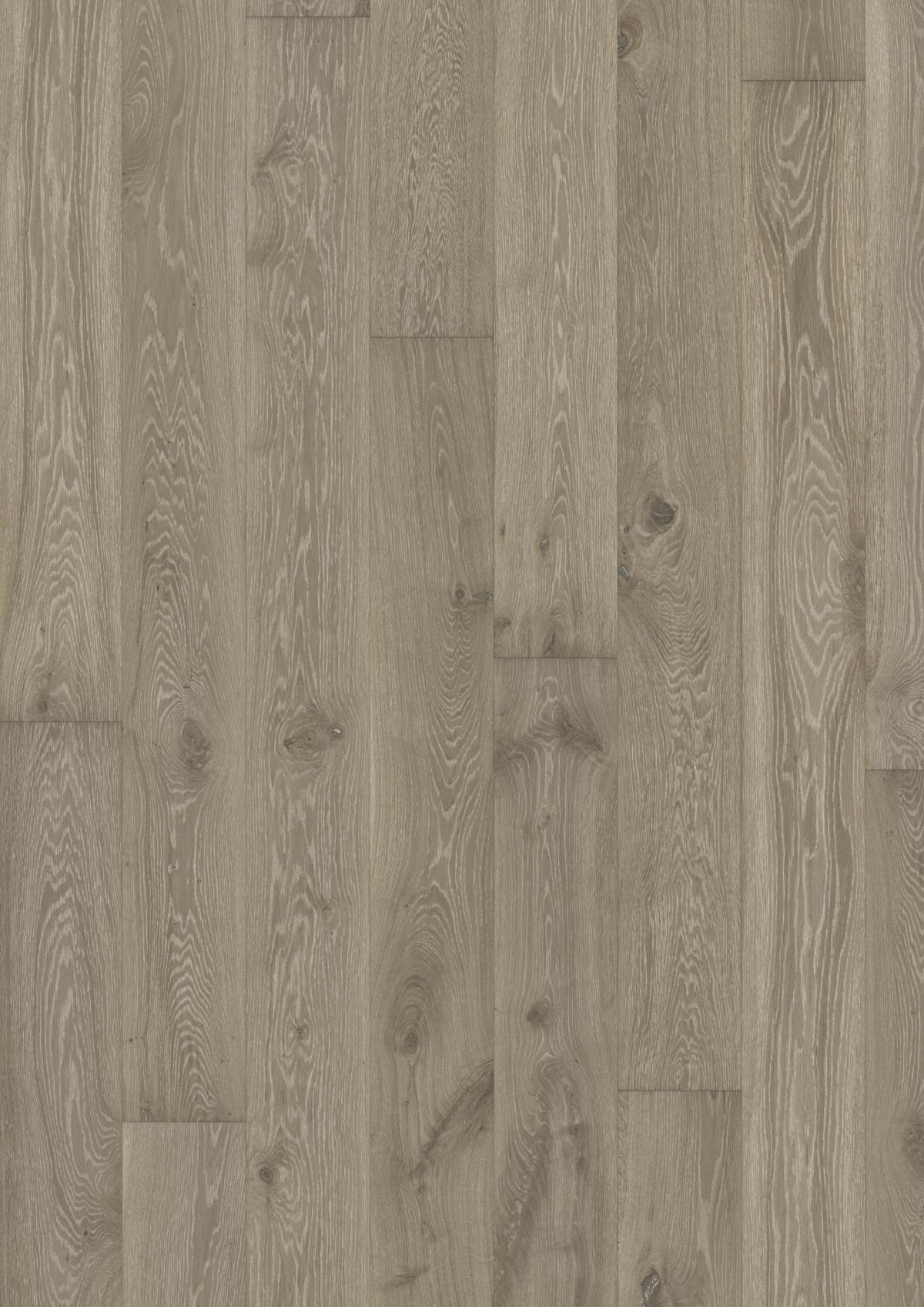 Oak Nouveau sima