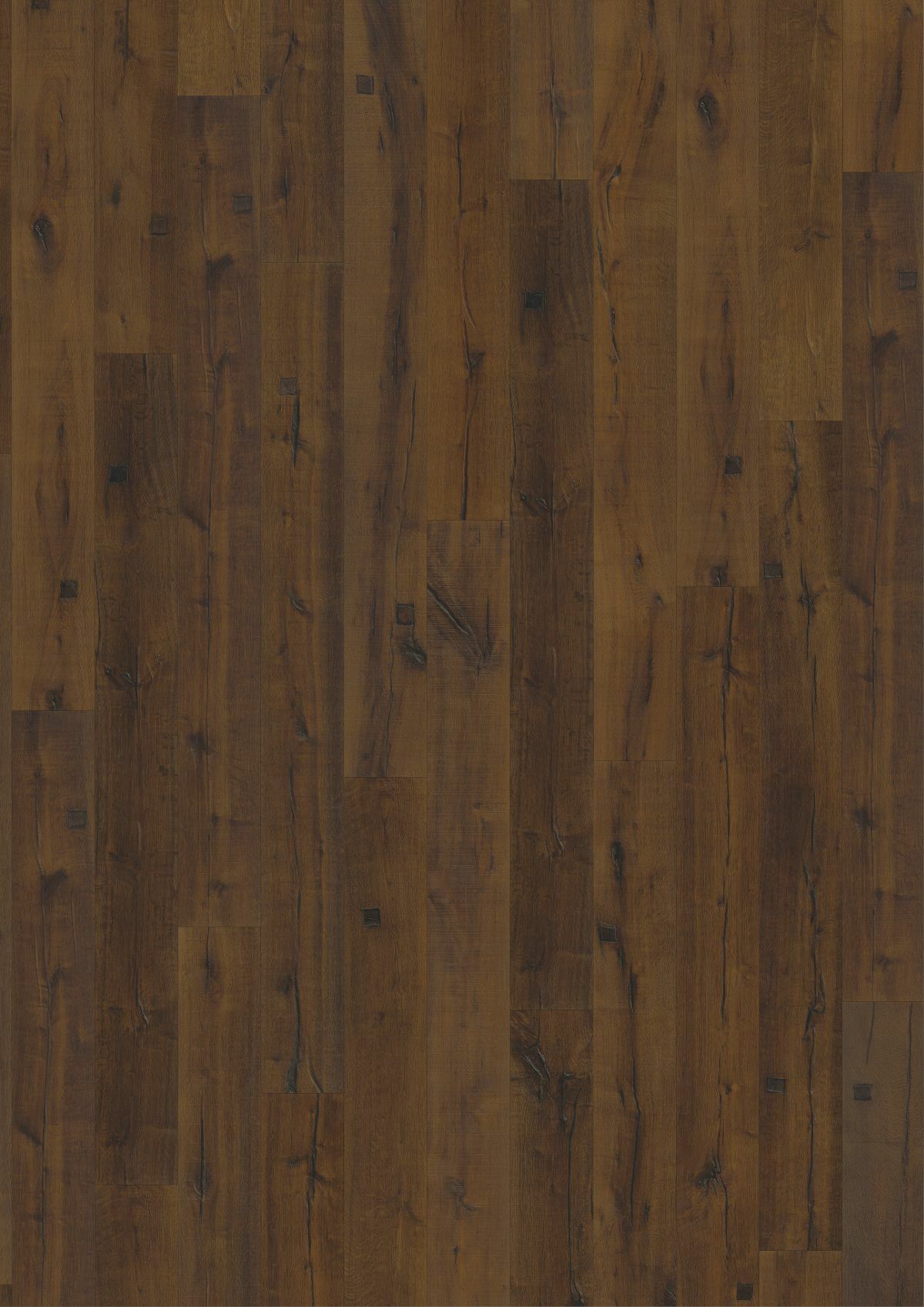 Oak Sparuto
