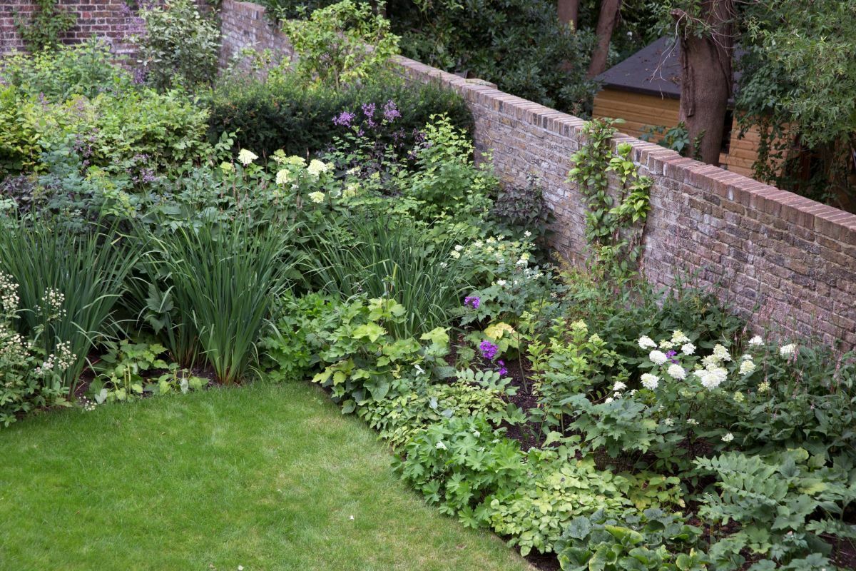 Évelő ágyás változatos növényekkel