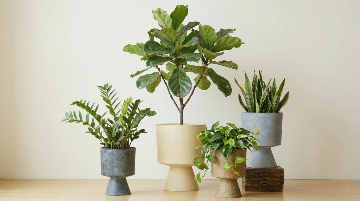 Modern trendi kapsók