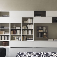 Europeo modern nappali bútor és könyvespolc kombinációk