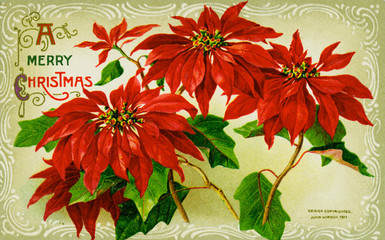 Karácsonyi képeslapok  a múlt századból