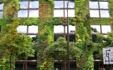 Függőleges kert városi épületek homlokzatán