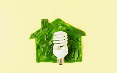 Zöld otthonra vágysz? Íme a 4 legfontosabb lépés