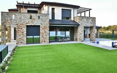 A Holland Pázsit műfüvei kutyásoknak: tiszta kert, boldog tappancsok – Sárközy Ákos és Istenes László is ezt választotta