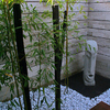 Bambusz kertben